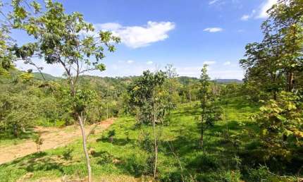 Terreno 2.7 Ha à Venda no Bom Jardim, em Azurita | JUATUBA IMÓVEIS |