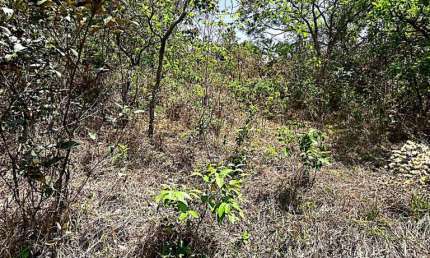 Lote de 360 m a venda no bairro Parque da serra azul | juatuba imóveis |