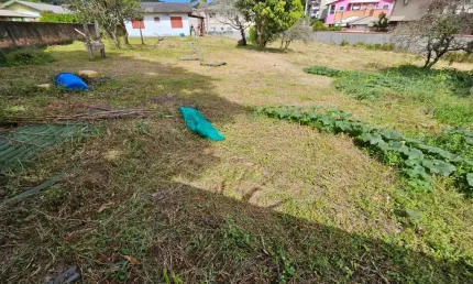 Terreno à venda na Servidão Estação Primavera, Cachoeira do Bom Jesus, Florianópolis
