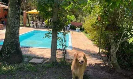 Chácara à venda na Estrada Municipal - Chácara Novo Horizonte