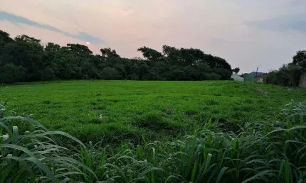 Terreno à venda na ÁSia, Jardim Celani, Salto