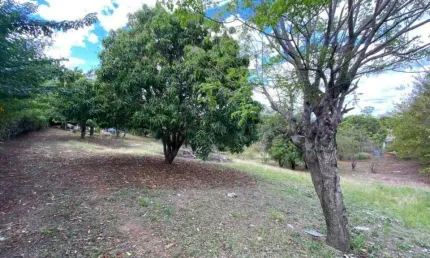 Chácara / sítio com 1 quarto à venda na Rua Fernando De Noronha, Buru, Salto