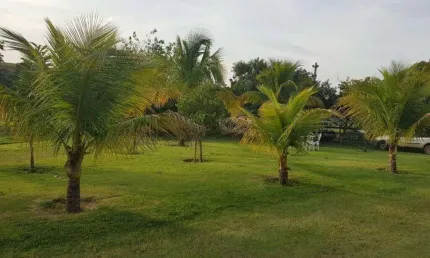 Chácara / sítio com 4 quartos à venda na Rodovia Joaquim De Campos Bicudo, Zona Rural, Elias Fausto