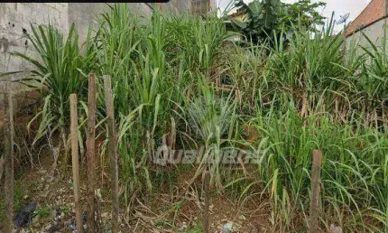 Terreno à venda, 165 m² por r$ 210.000,00 - vila ana - mauá/sp