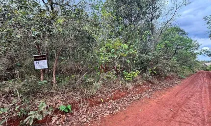 Terreno à venda, 1000 m² por R$ 100.000 - Santa Cruz - Mateus Leme/MG
