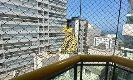 Apartamento com 3 quartos à venda na Avenida Presidente Costa e Silva, 51, Canto do Forte, Praia Grande
