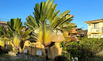 Apartamento com 2 quartos à venda no Paraíso Dos Pataxós, Porto Seguro 