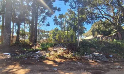 Terreno à venda na Rua Adivino Pereira do Nascimento, 96, Guarituba, Piraquara