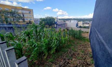 Terreno à venda na Avenida Jacob Macanhan, 3796, Jardim Cláudia, Pinhais