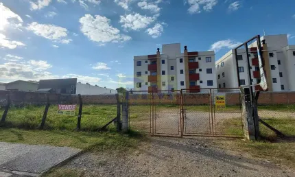 Terreno comercial à venda na Rua Manoel Bandeira, 580, Vargem Grande, Pinhais