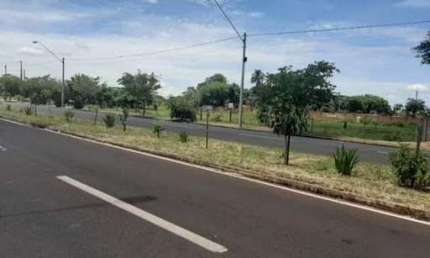 Terreno à venda, 500 m² por R$ 260.000,00 - Bairro Jardim Anastácio - Barretos/SP