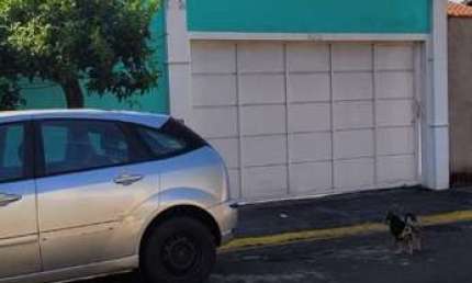 Casa em condomínio fechado com 3 quartos à venda no Residencial Ide Daher, Barretos 