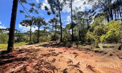 Terreno à venda, 1500 m² por R$ 500.000,00 - Alto da Boa Vista - Campos do Jordão/SP