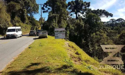 Terreno à venda, 5860 m² por R$ 800.000,00 - Morro Do Elefante - Campos do Jordão/SP