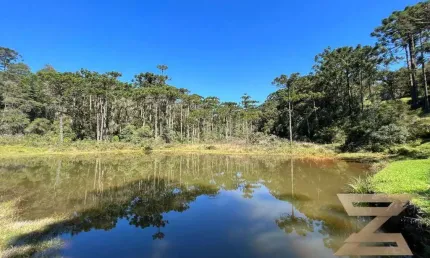 Terreno à venda, 2040 m² por R$ 980.000,00 - Horto Florestal - Campos do Jordão/SP