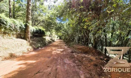 Terreno à venda, 1000 m² por R$ 220.000 - Vila Natal - Campos do Jordão/SP