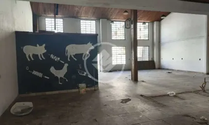 Terreno com Galpão Campinas São José codigo: 115831