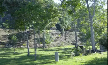 TERRENO SÃO JOSÉ COM VIABILIDADE PARA CONSTRUÇÃO codigo: 124094