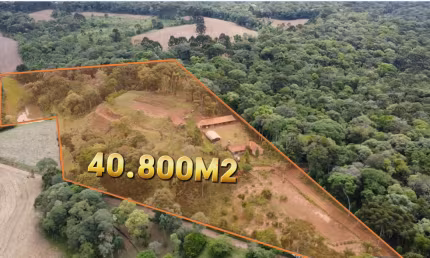 Chácara / sítio com 3 quartos à venda na Rua Principal, 10000, Avenquinha, Campo Alegre