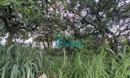 Terreno para alugar, 360 m² por R$ 1.000,00/mês - Lundcea - Lagoa Santa/MG