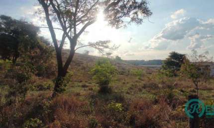 Terreno à venda, 5000 m² por R$ 1.450.000,00 - Angicos - Vespasiano/MG