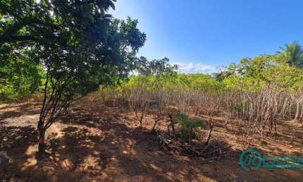 Terreno à venda, 1017 m² por R$ 699.000,00 - Jardim Ipê - Lagoa Santa/MG