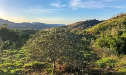 Terreno à venda na Estrada União e Indústria, 11460, Itaipava, Petrópolis