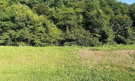 Terreno em alphaville com vista para mata c/ 490 mts, c/ projeto aprovado!