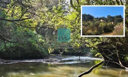 Chácara / sítio com 3 quartos à venda na Estrada Municipal, Glaura, Ouro Preto, 52126 m2 por R$ 945.000
