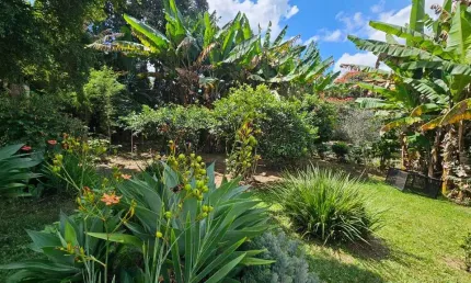 Casa com 6 quartos à venda na Rua Luiz Pereira da Conceição, Santo Antônio do Leite, Ouro Preto, 140 m2 por R$ 1.350.000