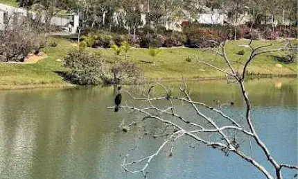 Terreno à venda, 1050 m² por r$ 290.000,00 - capital ville - jundiaí/sp