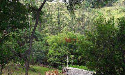 Sítio à venda, 203 m² por R$ 1.300.000,00 - Rural - Faxinal/PR