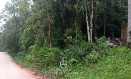 Chácara / sítio à venda na Rua João Batista de Souza Maceno, 0, Loteamento Chácara Chantecler, Piraquara