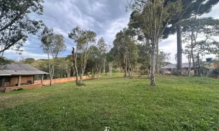 Chácara / sítio com 2 quartos à venda na Rua Antônio Brudeck, 207, Roça Nova, Piraquara