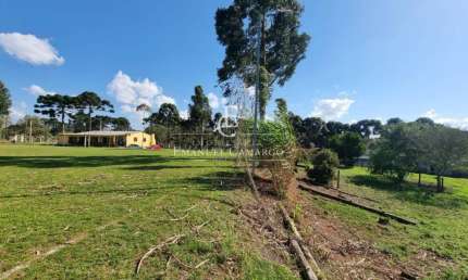Chácara / sítio com 3 quartos à venda na Rua Minervino de Oliveira e Souza, Borda do Campo, Piraquara