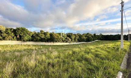 Terrenos à Venda no Loteamento Campo Belo - Campo Largo-PR