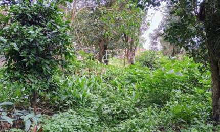 Terreno à venda na Rua Papa Paulo VI, Vila Santa Maria, Piraquara