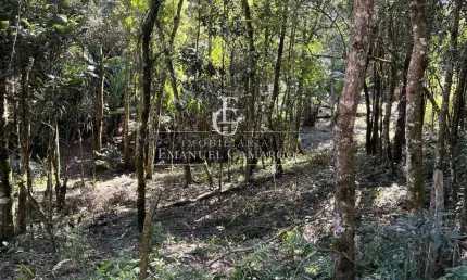 Terreno à venda na Maria Gulda Berwanger, Santa Helena 3, Piraquara