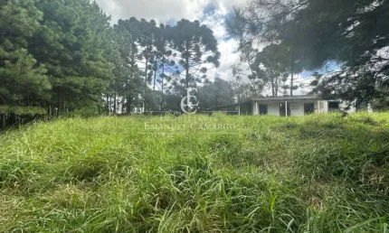 Chácara / sítio à venda na Rua Engenheiro José Gilberto Higino da Costa, Borda do Campo, Piraquara