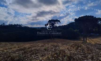 Chácara / sítio à venda na Rua Vicente Vidolin, Palmitalzinho, Quatro Barras