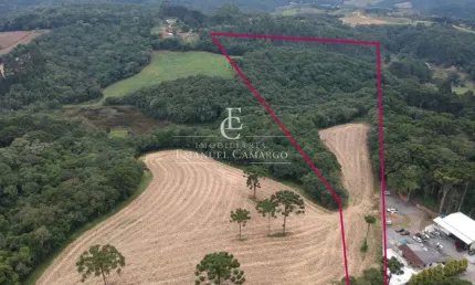 Chácara / sítio à venda na Rua Vicente Vidolin, Palmitalzinho, Quatro Barras