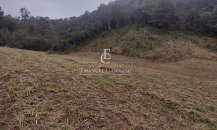 Chácara / sítio à venda na Estrada Da Graciosa, Palmitalzinho, Quatro Barras
