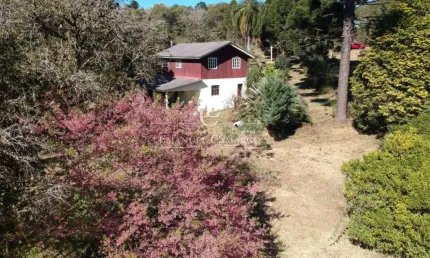 Chácara / sítio com 3 quartos à venda na Rua Isídio Alves Ribeiro, Planta Meireles, Piraquara