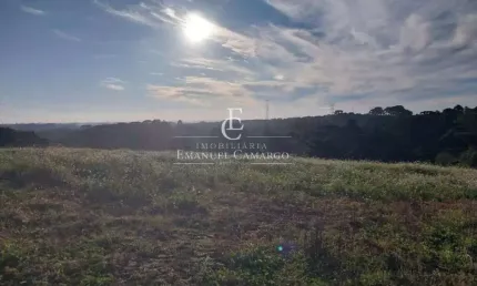 Terreno à venda na Rua Augusto Micrute, Borda do Campo, São José dos Pinhais