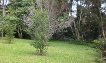 Terreno para Empreendedor à venda, 6657 m² por R$ 5.326.000 - Granja Viana - Cotia/SP