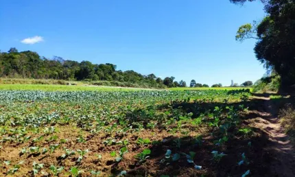 Área à venda, 45737 m² por R$ 1.950.000,00 - Sorocamirim - Ibiúna/SP