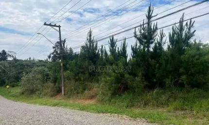 Área à venda, 4973 m² por R$ 3.500.000,00 - Granja Viana - Cotia/SP