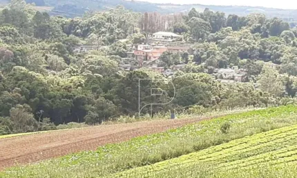 Área à venda, 39000 m² por r$ 870.000,00 - carmo messias - ibiúna/sp