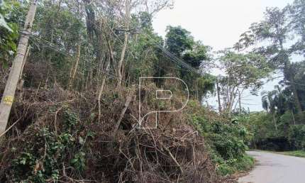 Terreno à venda, 6475 m² por R$ 1.300.000,00 - Parque Rincão - Cotia/SP