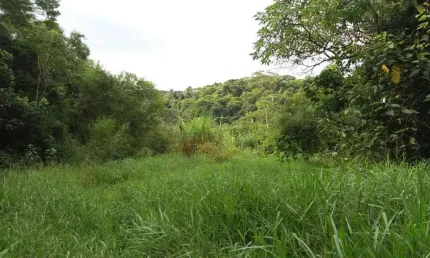 Área à venda, 6769 m² por r$ 1.354.000,00 - granja viana - cotia/sp